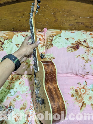 ইকুলেলে